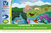 MODULO 2 - ong-adg.beong-adg.be/bibliadg/bibliotheque/opac_css/doc_num/fiches... · Importancia de los Recursos Naturales. Recurso suelo Recurso aire Permite el establecimiento, sustento