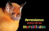 Aprendamos - Editorial Murciélago Blancoeditorial.murcielagoblanco.com/images/pdf/Aprendamosacercadelos... · Aunque mucha gente piensa que los murciélagos se refugian ... por lo