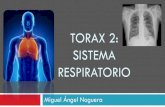 TORAX 2: SISTEMA RESPIRATORIO - ananor.netananor.net/uploads/2/7/5/8/27588325/torax_2.pdf · Linfáticos del Tórax – Resumen Parcial ... nivel del hilio pulmonar y desde ... Pleura.