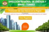 DIRECCIÓN REGIONAL DE ENERGÍA Y MINAS - …€¦ · Es función del Ministerio de Energía y Minas reglamentar todas las actividades relacionadas ... combustible en las industrias,
