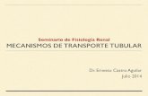 Mecanismo de transporte tubular - Colegio de Médicos 2014/charlasfisiologiarenal... · Seminario de Fisiología Renal ! MECANISMOS DE TRANSPORTE TUBULAR Dr. Ernesto Castro Aguilar!