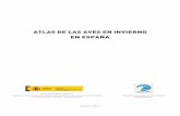 ATLAS DE LAS AVES EN INVIERNO EN ESPAÑAlmcarrascal.eu/pdf/atlasinv1.pdf · una creciente tendencia en Europa por cuantificar el fenómeno de la inverna-da, ... ser analizadas al