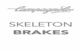 SKELETON - campagnolo.com · Un uso inadecuado del sistema de frenos de la bici podría provocar la pérdida del control de la misma o caídas, que podrían causar lesiones graves.