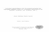 LCSIC - Biblioteca Complutensebiblioteca.ucm.es/tesis/19911996/X/0/X0030601.pdf · e interpretación de los cromatogramas de gases y los espectros infrarrojos. A la Dra. Pilar Estrada