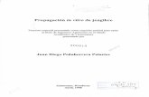 Propagación in vitro de jengibre - bdigital.zamorano.edu -T082... · l J'-'' Propagacion in vitro de jengibre Proyecto especial presentado como requisito parcial para optar al titulo