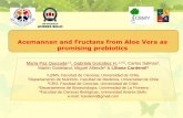 Acemannan and Fructans from Aloe Vera as promising … · Acemannan and Fructans from Aloe Vera as promising prebiotics María Paz Quezada1,3, Gabriela González H.,2,4,5, Carlos