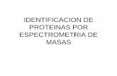 IDENTIFICACION DE PROTEINAS POR …estrellapolar.cnb.csic.es/proteored/docs/Bioinfo_Course_Jan09/2... · adecuada para peptidos>>>> metodos de ionizacion suaves>>> maldi o esi. en