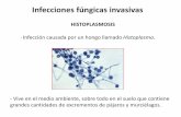 Infecciones fúngicas invasivas - hgdc.gob.ec - diego barahona.pdf · El ensayo de inmunodifusión mide cualitativamente los anticuerpos precipitantes. (líneas o bandas de precipitina