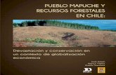 PPUEBLO MAPUCHE Y UEBLO MAPUCHE Y … · documento de trabajo pueblo mapuche y recursos forestales en chile: devastaciÓn y conservaciÓn en un contexto de globalizaciÓn econÓmica
