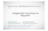 Integración Funcional en Mapuche - SIU · Temas de integración Servicios al empleado: actualización de datos personales, recibos de sueldo, gestión de viáticos, etc. Servicios