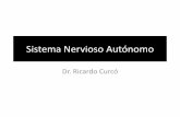 Sistema Nervioso Autónomo - Dr. Curcó | Un portal de ... · Conceptos Clave •El sistema motor eferente tiene dos ramas: somática y autonómica. •El sistema nervioso autónomo