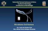 Microbioma Oral Humano - Universidad Nac · Universidad Nacional Autónoma de México Facultad de Odontología Coordinación de Microbiología Microbioma Oral Humano Dra. Laurie Ann