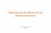 Mecanismos de defensa de las plantas superiores [Modo de ...ecaths1.s3.amazonaws.com/fitoquimicafbqf/1612057623.Mecanismo... · Mecanismos de Defensa Constitutivos (preformados antes
