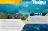 BUCEO - colombia.travel · BUCEO Archipiélago de San Andrés, Providencia y Santa Catalina. En Colombia se pude bucear con ejemplares únicos como el Tiburón Monstruo, además de