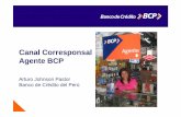 Canal Corresponsal AtAgente BCPasobanca.com.ve/.../la_experiencia_peruana._arturo_jhonson(1).pdf · IPSOS APOYO, estudio de niveles socioeconómicos, ... enel 2014 (Diario Gestión