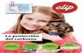 La protección del cachorro - Veterinario en Valencia las … · Hepatitis canina Esta enfermedad contagiosa es producida también por un virus ... • Aguda: hay fiebre, anorexia,