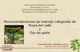 Recomendaciones de manejo integrado de Roya del … · actualidad en Guatemala son susceptibles a ojo de gallo. ... primario. Evitar plantaciones con 3 o más brotes.