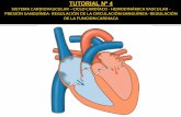 El sistema cardiovascular tiene como función: …ecaths1.s3.amazonaws.com/fisiologiaveterinaria2014/1293981988... · El sistema circulatorio está formado por una red de vasos sanguíneos,