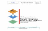301CTICA PARA EL MANEJO DE CARGAS …aplicaciones.anp.com.uy/archivo/institucional/guia.pdf · riesgos propios de la navegación marítima se han añadido los del manejo y transporte