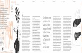 Pier Paolo Pasolini, Jean-Luc Godard, El cinema …cccb.org/rcs_gene/Juny.pdf · a Godard filmant Brigitte Bardot a Le Mépris, als Straub modelant cada paraula de Kafka, i a Chantal
