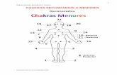 Chakras menores o secundarios /// Manos II CHAKRAS ... · Hay nadis primarios, secundarios, terciarios, todos los puntos de acupuntura son nadis y los nadis tienen sitios de reunión