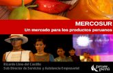 Un mercado para los productos peruanos - … · través de hipermercados, supermercados y tiendas independientes. Perfil del sector alimentos ... Productos peruanos en el mercado