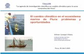 El cambio climático en el ecosistema marino de Piura ...imarpe.gob.pe/paita/conferencias/taller_macroregional.pdf · CAMBIO CLIMATICO Cambio atribuido directa o indirectamente a