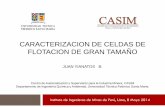 Presentación de PowerPoint · CARACTERIZACION DE CELDAS DE FLOTACION DE GRAN TAMAÑO JUAN YIANATOS B. Centro de Automatización y Supervisión para la Industria Minera, CASIM
