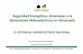 Seguridad Energética: Amenazas a la Hidroeléctrica en ... · En Venezuela la hidroelectricidad ... El parque de generación del Sistema Eléctrico Nacional ... aportaría al sistema