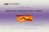 METALURGIA DEL ORO - intermetperu.com · 1.6.1.Factores tecnológicos que inciden en la disolución y/o recuperación de oro y plata ... Tecnología del Proceso Merrill Crowe 3.1
