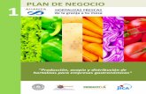 PLAN DE NEGOCIO · 2018-06-12 · 1 PLAN DE NEGOCIO "Producción, acopio y distribución de hortalizas para empresas gastronómicas" HORTALIZAS FRESCAS de la granja a tu mesa INCUBADORA