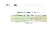 INFORME FINAL - cenma.cl web-LQA/5-Estudios Ambientales/Informe Final... · informe final identificaciÓn de residuos inertes en chile. (bibliografÍa y analisis quÍmico) informe
