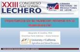 Importancia de la nutrición mineral en la reproducciónproleche.com/wp-content/uploads/2017/10/Charla2.pdf · Importancia de la nutrición mineral en la reproducción Alejandro R