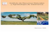 Instituto de Recursos Naturales y Agrobiología de …digital.csic.es/bitstream/10261/34300/1/MemoriaIrna1999.pdf · DIRECCIÓN Y ÓRGANOS COLEGIADOS 2.2. DEPARTAMENTOS DE INVESTIGACIÓN