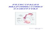PRINCIPALES MALFORMACIONES DIGESTIVASneonatos.org/DOCUMENTOS/Malformaciones_digestivas.pdf · Principales malformaciones digestivas. A. Cuñarro Alonso. Fig. 4: Tipos de atresia de