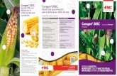 CARACTERÍSTICAS VENTAJAS/BENEFICIOS Coragenptico CORAGEN (Maiz).pdf · de los animales, la Comisión Europea ha fijado los niveles máximos de toxinas de Fusarium para maíz y productos