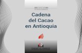 Cadena del Cacao en Antioquia · OPCIONES DE COMERCIALIZACIÓN ... estadística sobre producción ha sido consultada en la base de datos Faos - ... la demanda de productos de lujo