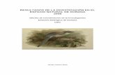 Informe de resultados 2008 - Doñana Biological …web.ebd.csic.es/Website1/Parque/Documentos/Resultados2008.pdf · Informe de la piezometría del acuífero Almonte Marismas, U.H.–05.51.