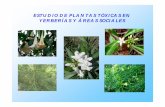 ESTUDIO DE PLANTAS TÓXICAS EN YERBERÍAS Y … · Determinar las plantas tóxicas en yerberías, huertos escolares, jardines, patios y áreas de uso colectivo, para su identificación,