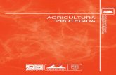 AGRICULTURA PROTEGIDA Manual dirigido a …altiplano.uvg.edu.gt/proyectos/cdr/practicas/2009/Agricultura... · La agricultura protegida mediante el uso de ... c. Tamaño de invernadero
