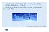 LES COMPTES 2017 DU CNRS : - du budget au bilan … · ² LES COMPTES 2017 DU CNRS : - du budget au bilan - des comptes sociaux aux comptes consolidés Conseil d’administration