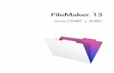FileMaker 13 · Fuentes de datos compatibles con ... de FileMaker y los tipos de ... es/support/index.html. 1 En esta guía se asume que conoce los conceptos ...