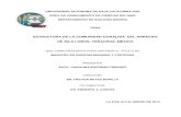 Estructura de la Comunidad coralina del arrecife Lobos ...biblio.uabcs.mx/tesis/te3260.pdf · ESTRUCTURA DE LA COMUNIDAD CORALINA DEL ARRECIFE DE ISLA LOBOS, VERACRUZ, MÉXICO ...