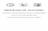 PROGRAMA DE ANATOMIA 2018 - kinesiouba.com.arkinesiouba.com.ar/.../05/PROGRAMA-DE-ANATOMIA-2018.pdf · similares de evaluación, readaptación y rehabilitación de trabajadores ,en