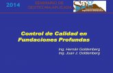 2014 SEMINARIO DE GEOTECNIA APLICADA - …saig.org.ar/wp-content/uploads/2015/09/Parte-1-Goldemberg-Control.pdf · 2014 SEMINARIO DE GEOTECNIA APLICADA Control de Calidad en Fundaciones