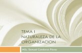 TEMA I NATURALEZA DE LA ORGANIZACION · Tema: La naturaleza de la Organización La organización y su importancia en la Dirección. El contenido del proceso de organización. Análisis