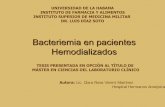 Bacteriemia en pacientes Hemodializadosfiles.sld.cu/patologiaclinica/files/2010/11/bacteriemia-amarillo.pdf · La FAVI posibilita la conducción de sangre a un circuito de lavado