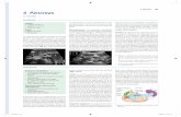 4 Páncreas 143 4 Páncreas - Editorial Amolca Colombia · bido a que el tronco celíaco transcurre en una dirección anterosuperior y la arteria mesentéri-ca superior en una dirección