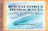 SOCIALISMO Y DEMOCRACIA - cieplan.org · comienza a sufrir transformaciones a partir de Gorbachov, la Perestroika y los cambios en Europa del Este. Un segundo enfoque, igualmente