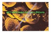 METABOLISMO DE LOS LÍPIDOS · La energía obtenida de la oxidación de AG es más del doble de la ... Propionato COO - l CH 3 Acetato AGV Rumen COO - l CH 2 l CH 2 l CH 3 Butirato
